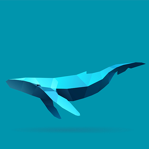 Blue whale challenge: Reality or myth?*Patrick McIlwee investigates the facts and realities of websites that groom and encourage vulnerable youngsters to harm themselves, then post images of the self harm online, exploring whether this phenomenon is fact or fiction 
