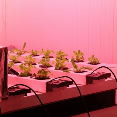 Vertical farming*Bryan Fried explores the future of food security and how vertical farming using Controlled Environment Agricultural (CEA) techniques may be the solution