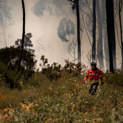 Before the next fire*September 2026: The fires in Europe have cost billions in response, but if public conversation only begins once the fire is already spreading, we have already missed the first – and our most important – window of opportunity, writes Subhra Bhattacharjee