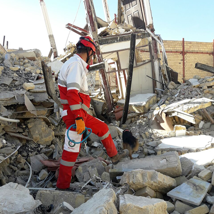Iran earthquake: the disaster, impact and response 