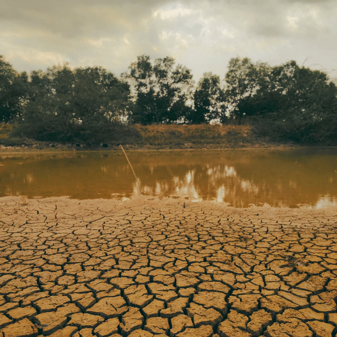 When the rain returns, why doesn’t groundwater?